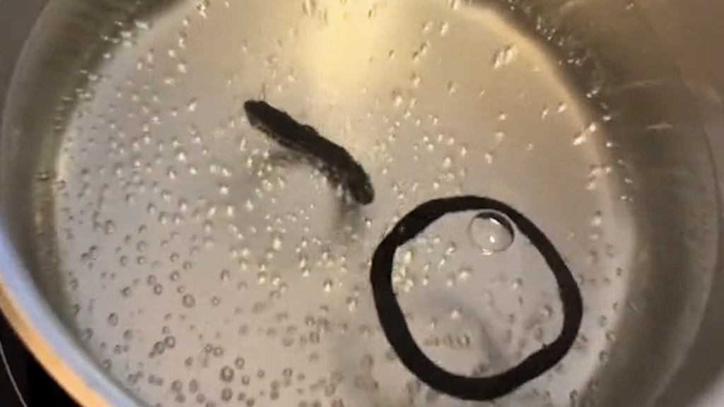 Ausgeleierte Haargummis: Mit diesem Hack kriegst du sie wieder wie neu