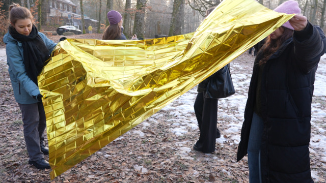 So überlebst du die Wildnis