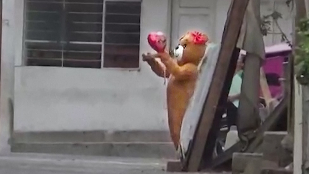 Drogenkrieg in Peru: Teddybär macht Jagd auf Dealer