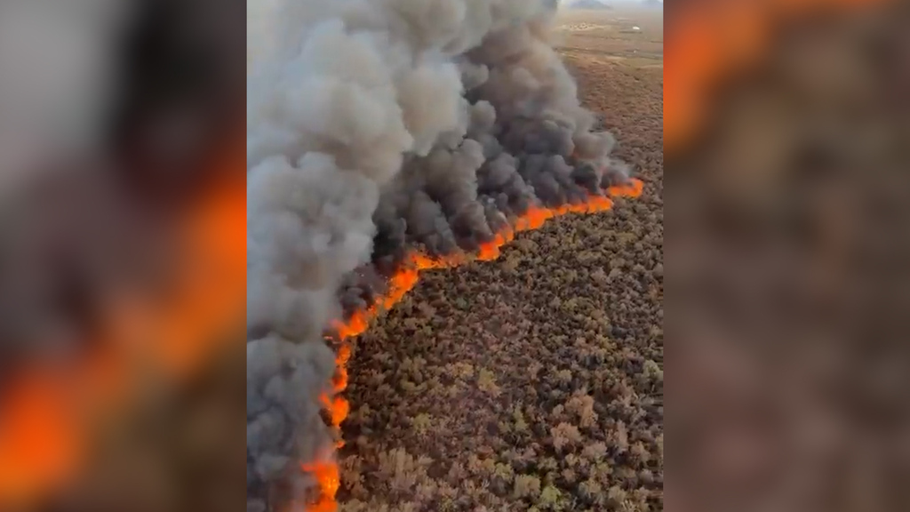 Im Video: Riesiger Waldbrand verwüstet Fläche von 315 Fussballfeldern