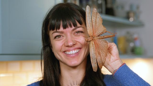 Foodnerds: Heugümper statt Chicken Nuggets