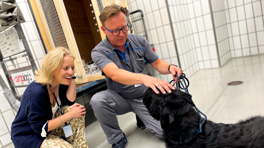 So fliegen Tiere mit der Swiss – ein Blick hinter die Kulissen