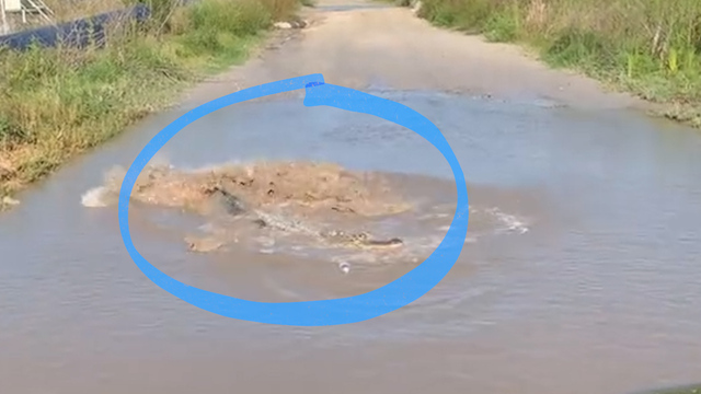 Von wegen Schlagloch: Diese Pfütze hat es in sich