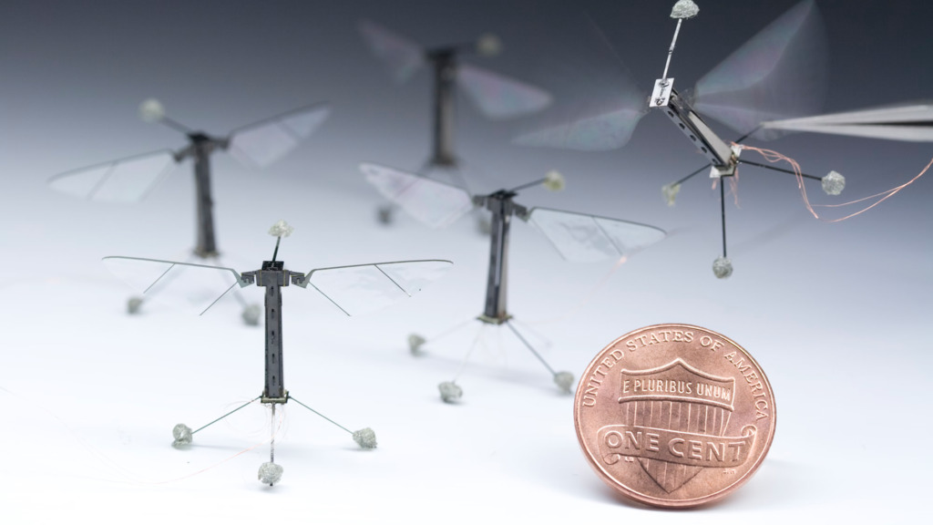 Havard forscht an Roboterbiene – Noch sind sie am Kabel – aber schon bald könnten sie Bienen ersetzen