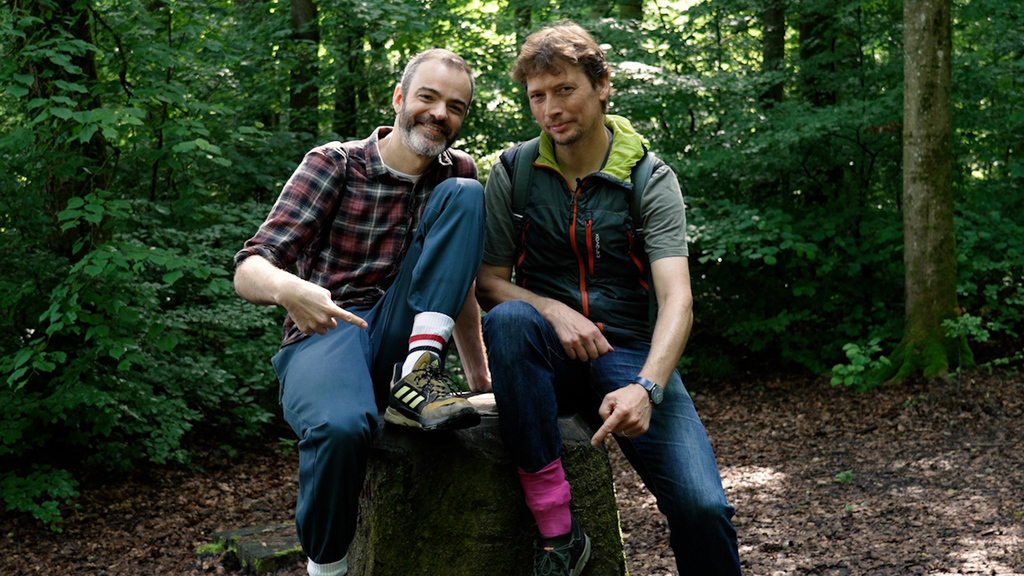 Unterwegs mit Zecken-Experte: «Im Wald gehören die Socken über die Hosen»