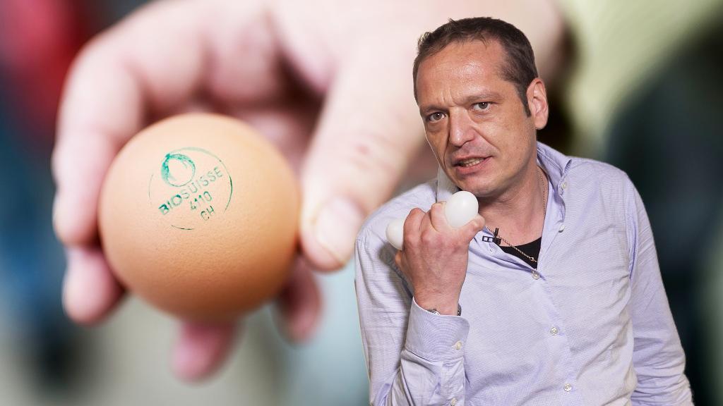 Erklärt: Das Schweizer Bio-Ei kommt vom Hybridhuhn – Und was heisst das jetzt?