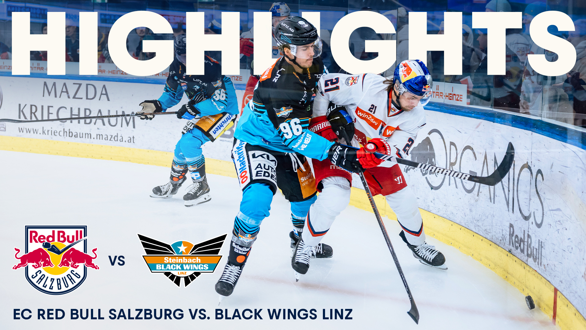 Highlights: EC Red Bull Salzburg vs. Steinbach Black Wings Linz