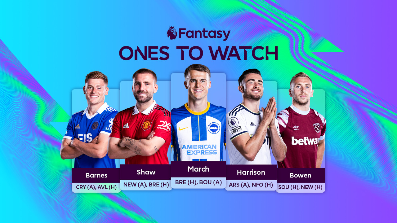 Fantasy Premier League tips: The 11 best players to buy for your FPL team  in Double Gameweek 20