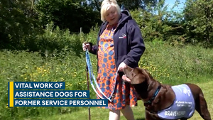 How assistance dogs can help former service personnel