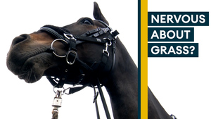 King's Troop Royal Horse Artillery Swap Ceremonial Duties For Cross Country Training 