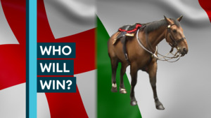 Is Football Coming Home? Army Horse Basil Predicts Euro 2020 Final