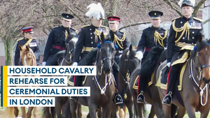 Household Cavalry deemed fit after annual Major General's Inspection in London's Hyde Park