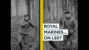 Surreal video footage shows Royal Marines on LSD