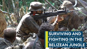 How to survive the unforgiving environment of the Belize jungle 