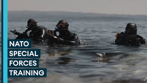 Rare glimpse of US Navy Seals and Croatian Special Forces on joint exercise