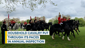 More than 150 horses take part in Household Cavalry inspection