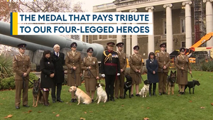 The Dickin Medal at 80: Recognising the sacrifices of animals in war