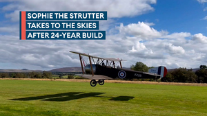 Sophie the Strutter takes flight at last