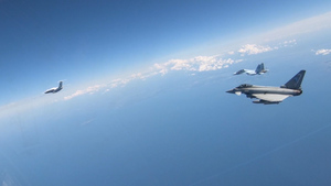 'It's Very Easy To Take For Granted': NATO's Air Policing Mission Turns 60