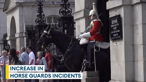 Increase in videos of incidents filmed at Horse Guards, MOD say