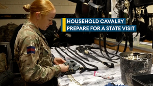 How does the Household Cavalry Mounted Regiment prepare for a state visit?  