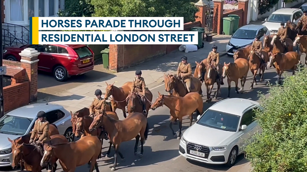 London, UK. 29 January 2023. Mounted members of The King's Army