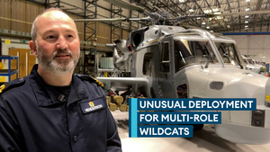 Wildcats: The helis that can be used any time and any place