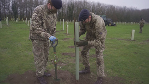 Treemendous! Royal Signals Plant 100 Trees To Celebrate Centenary