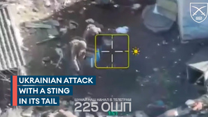 Bees drive Russian troops out of basement hiding place 