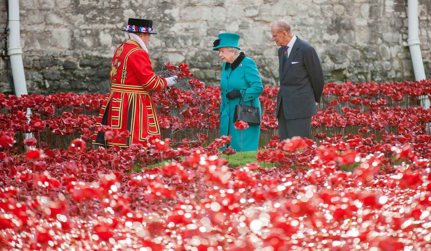 How the poppy captured the imagination of the nation - Country Life