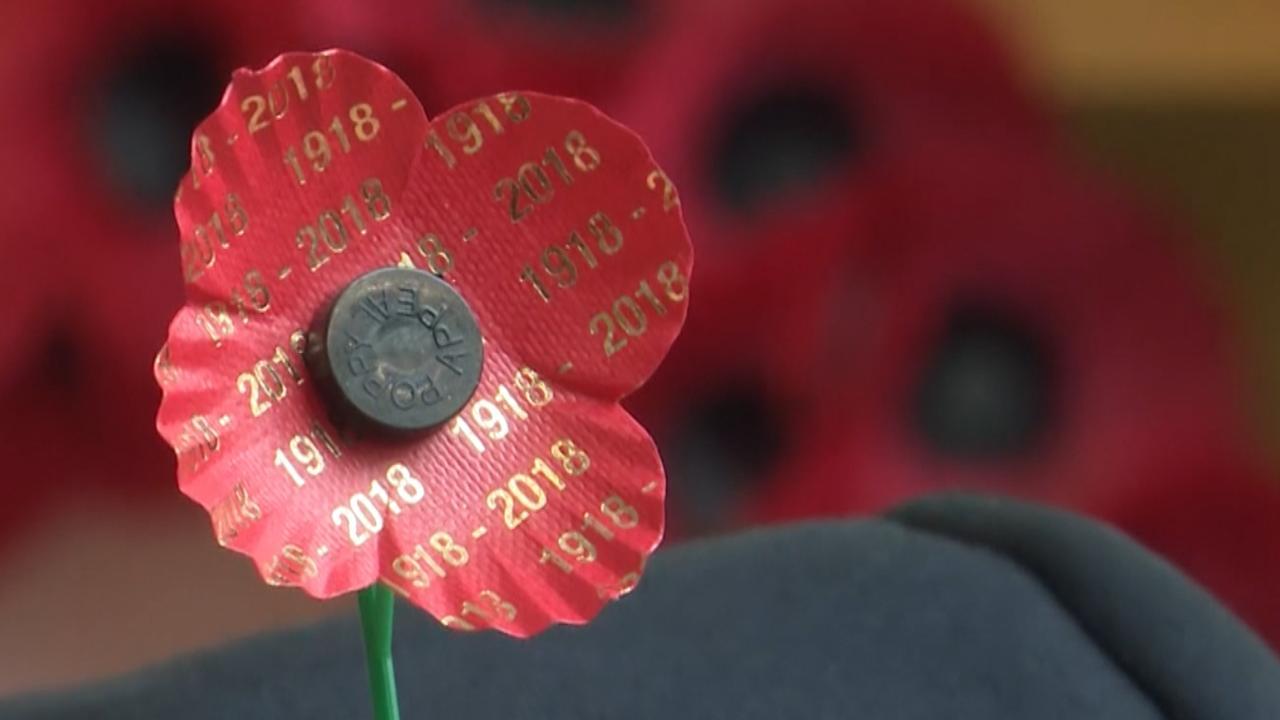 New Poppy unveiled to mark centenary - TFN