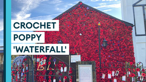 Royal British Legion club covered in crochet poppies ahead of Remembrance Day