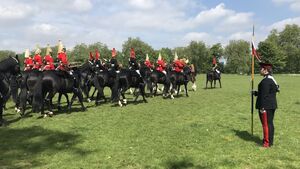 Household Cavalry's Final Inspection Before Queen's Birthday Parade