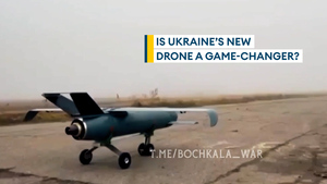 Palianytsia: Ukraine's new long-range missile drone