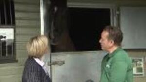 Hitting The Hay: How Viscount Feels About Retirement