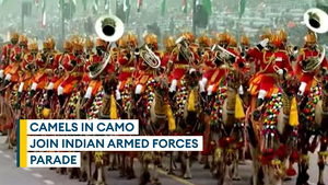 India's armed Border Security Force ride camels on Republic Day parade
