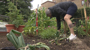 The 'Wonderful' Allotment Boosting Veterans' Mental Health