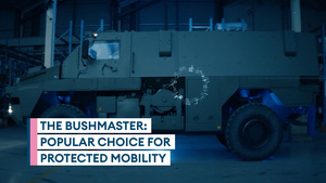 What makes the Bushmaster so popular?