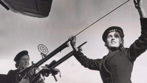 Wrens: Who Were They And What Did They Do?