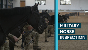Horse inspection for King’s Troop Royal Horse Artillery ahead of Remembrance events