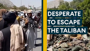 'I am extremely worried': Afghans' desperate pleas for help to escape Taliban 