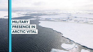 Military presence in the Arctic is vital, defence expert says