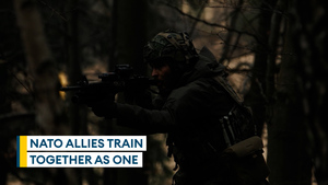 Nato allies practise operating together in live-fire exercise