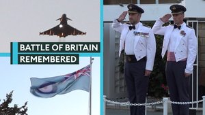 Battle of Britain Day celebrated in Cyprus