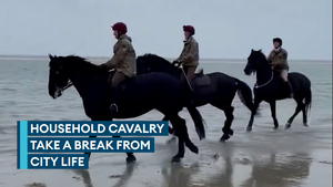 Trusted guardians of the King head to the beach for a break
