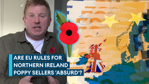 EU poppy-selling rules in Northern Ireland branded absurd