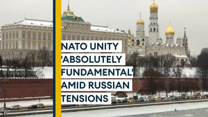 Russia tension has power to unite NATO, former Alliance security offical says