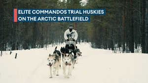 Commandos harness huskies for resupply exercise behind enemy lines
