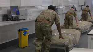 Armed Forces Survey: How Well Does The British Public Know Its Military?