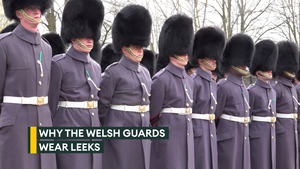 The world's oldest cap badge: How leeks became a key part of the Welsh Guards' identity